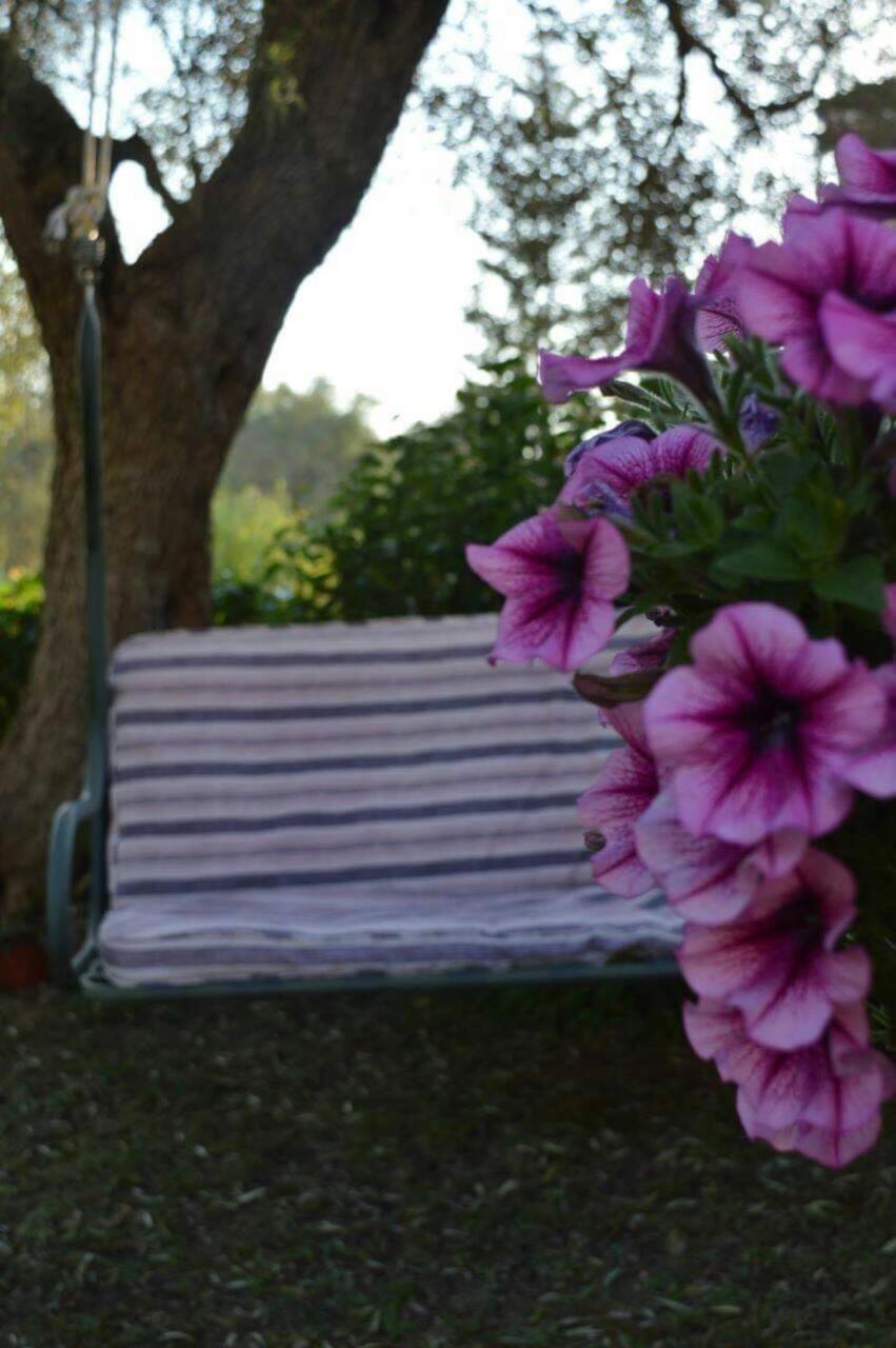 Sunny Garden Plataria Exterior foto